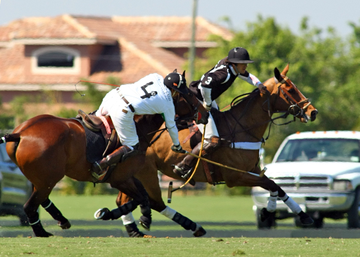 Iglehart Polo Cup Finals Polo polo club polo magazine polo photos Alex Pacheco 3