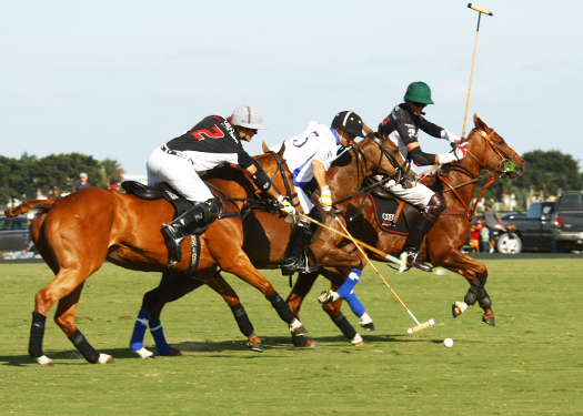 Photos-Valiente vs. Audi alex pacheco polo match polo tournament 1