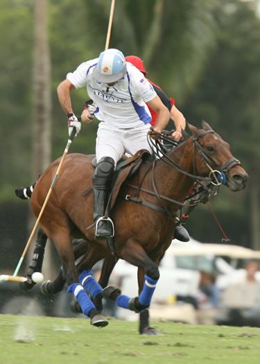 photosalexpacheco polomagazine uspapiagetgoldcupsemifinalsvalientevs ale 2