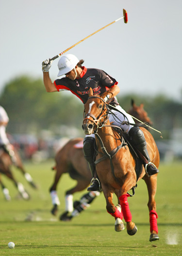 polo top polo tournament piaget gold cup polo teams polo usa polo club 2