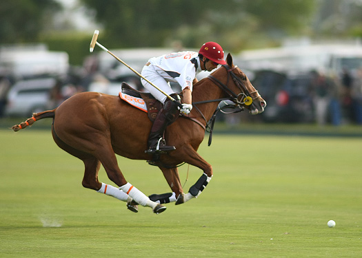 polo top polo tournament piaget gold cup polo teams polo usa polo club 6