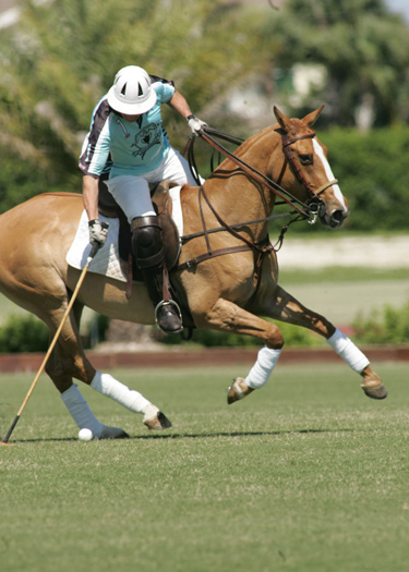 polo mag polo tournament florida polo spring challenge photos pacheco 10