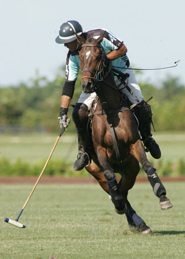 polo mag polo tournament florida polo spring challenge photos pacheco 4