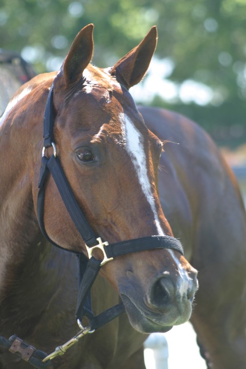 Beetlejuice Hale photo orig from Gwen