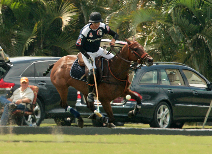 photos-palm-beach-illustrated-14-ct-energia-6 3 polomagazine.jpg