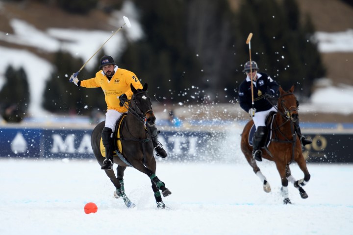 31 01 16-0310 24106026393 o