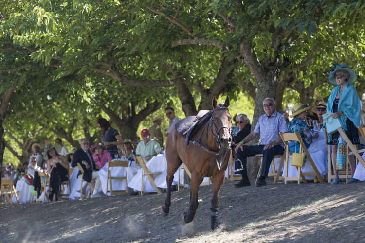  Wounded Veterans Polo Benefit 2017 Sunday, August 20, 2017