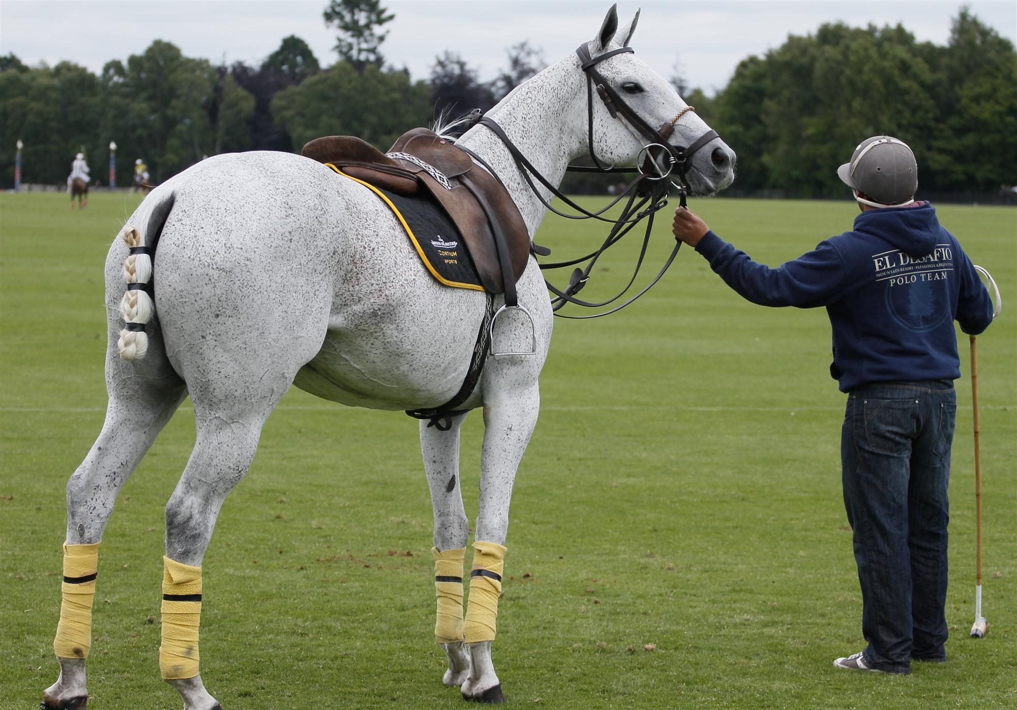 cortium polo team queens cup polo magazine celine genonceau polo club photos tournament 2